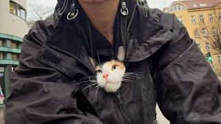 UNUSUAL MEMES COMPILATION V366