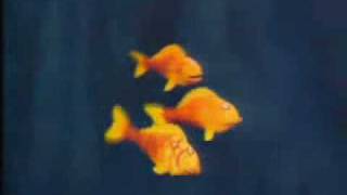 The Muppet Show   Three Little Fishies.wmv