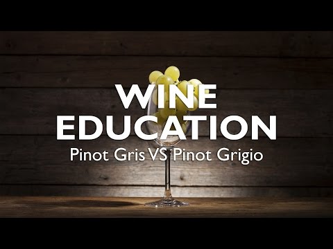 WINE EDUCATION | Pinot Gris VS Pinot Grigio