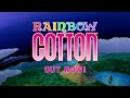 Gameplay video of Rainbow Cotton  PC