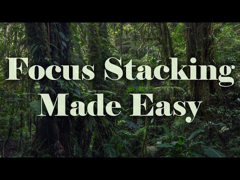 My New Improved Focus Stacking Workflow With Helicon Focus