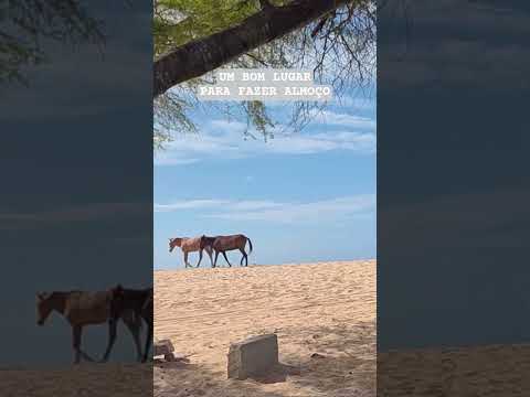 parada para almoço em Caiçara do Norte/RN #overlandbrasil #riograndedonorte #mitsubishi