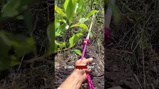 Tight Rope Walking Over 1000FT CLIFF!! ||| MEGA HIGHLINE in Hawaii