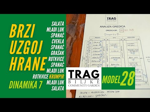 FAST GROWING OF FOOD - MODEL 28 - DYNAMICS 7