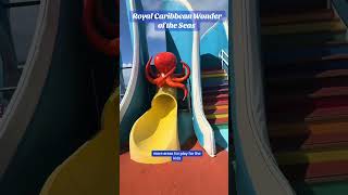 Sailing Back to Wonder of the Seas! #fok #vacation #cruise