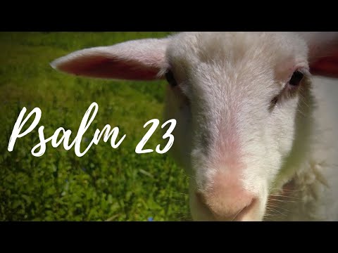Psalm 23 - Der Herr ist mein Hirte