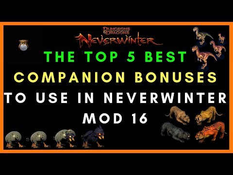 The Top 5 Companions To Use For Offense Defense & Utility In Neverwinter Mod 16