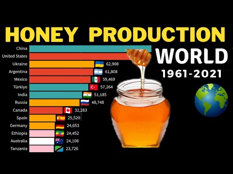 Global Honey Production Trends | Golden Age
