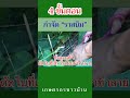 ขั้นตอน
