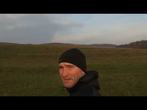 Cros Alergăreții, 17 km, Petreștii de Mijloc, Borzești, Mănăstire, Petreștii de Sus, Petr