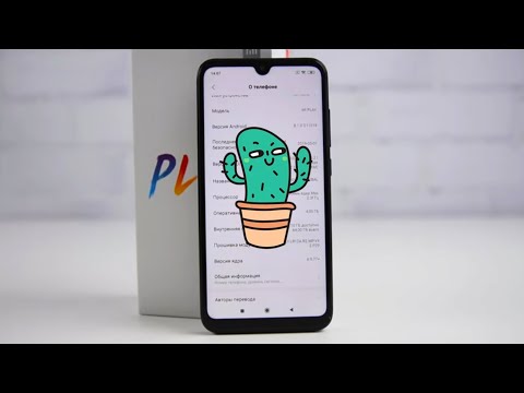 Xiaomi Mi Play (совок совком) / Арстайл /