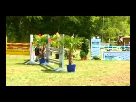 Kaja Celine Hofmeister mit Cit Stilspringprüfung L