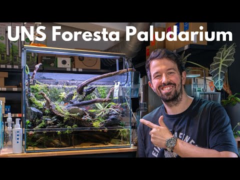 UNS Foresta 60E Paludarium Presentation