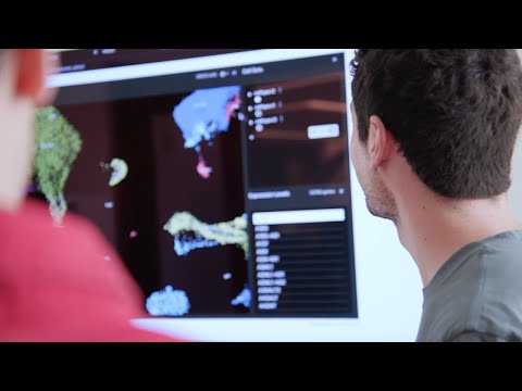 BIG PhD students Q&A: What's your advice for those considering a computational PhD?