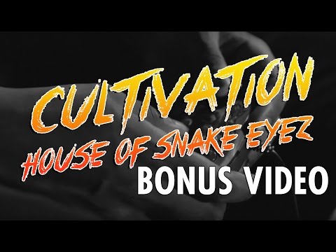 Game Plans and Matchups | Cultivation Bonus