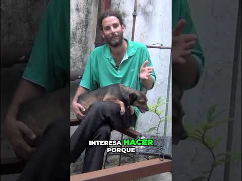 Mi Experiencia en la Plaza de la Revolución Post-Revolución #shorts