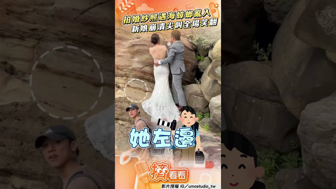 影音/新娘婚紗拍攝遇海蟑螂亂入 崩潰「燒開水」尖叫聲全場笑翻