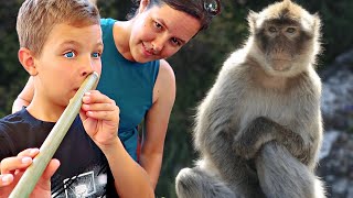 Nose Flute in New Country! | Malaysia🇲🇾 1