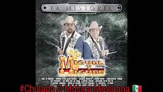 Nido Caido. Miguel Y Miguel