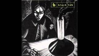 Wash It Away- Black Lab