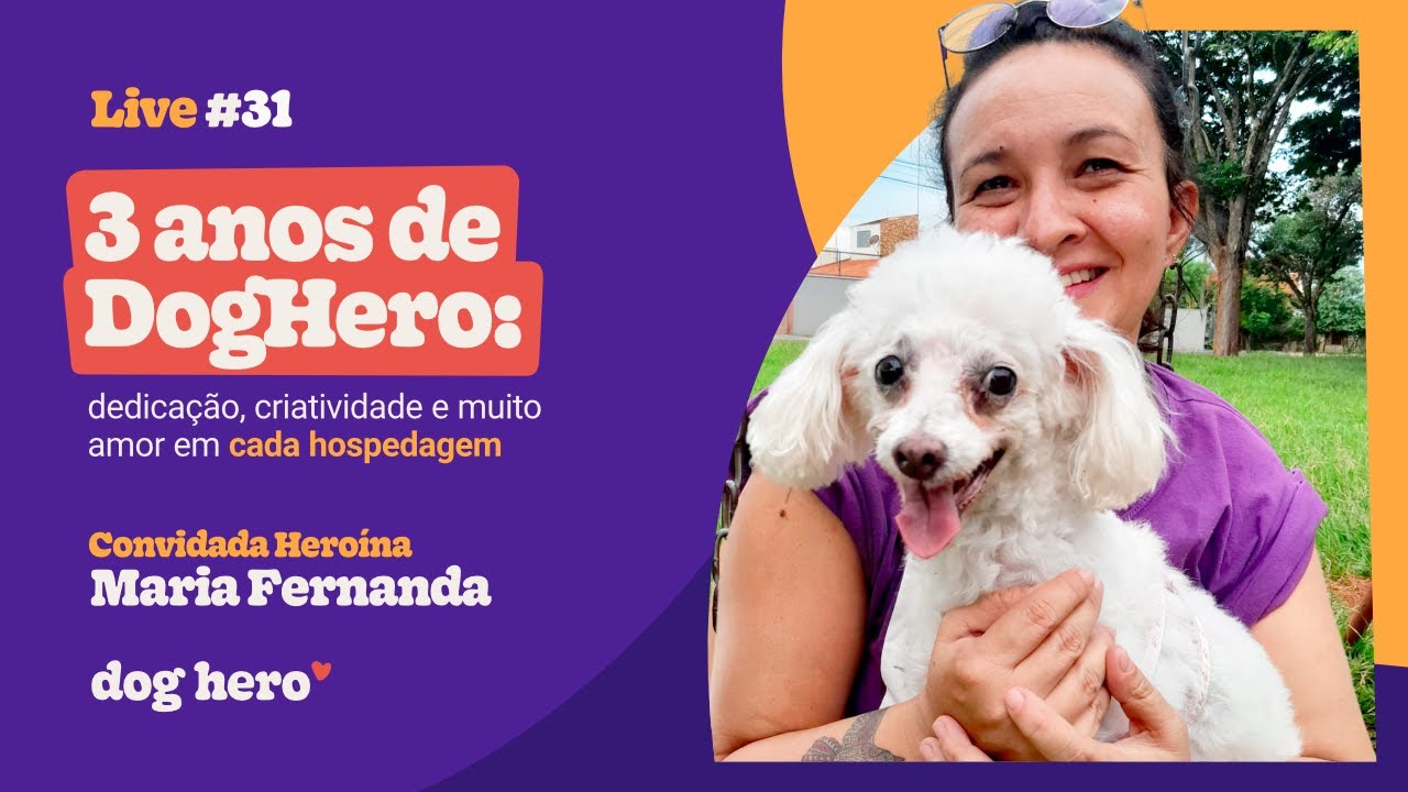 3 anos de DogHero: dedicação, criatividade e muito amor em cada hospedagem