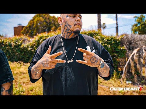 Dowtr Lowks - El Mero Mero (Official Music Video)