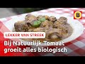 Lekker én makkelijk: involtini in tomatensaus ? | Lekker van streek
