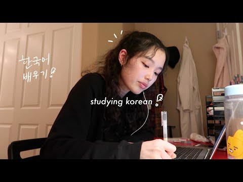韓国語の勉強＋ちょっとしたコツ｜本当の意味での勉強はしていないニナ10 (studying korean + some more tips | not really studying with nina 10)