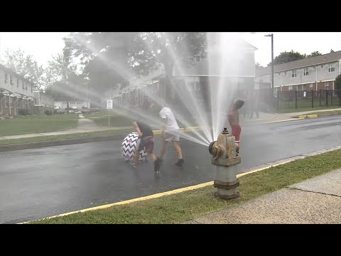 69 News afternoon NETCAST for 6/22/22