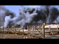 Атака Мертвецов. Ария - Фанатский клип. 