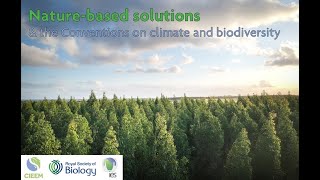 Nature-based solutions: the Conventions on Climate & Biodiversity