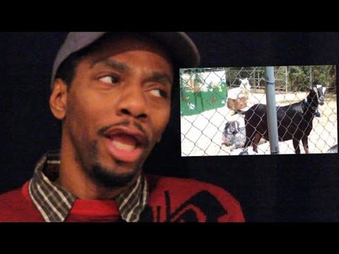 Party Freeloaders - What Gets My Goat