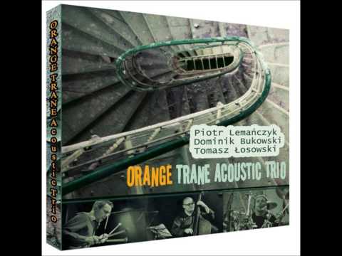 Celebrity -  D.  Bukowski  -  Orange Trane Acoustic Trio