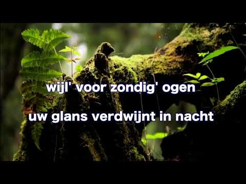 OPwekking 236 Heilig heilig heilig