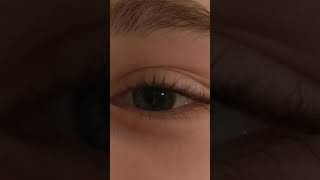 In the Blink of an Eye