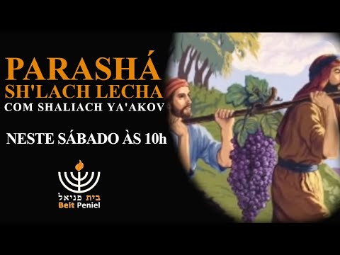 PARASHA SHELAH LECHA