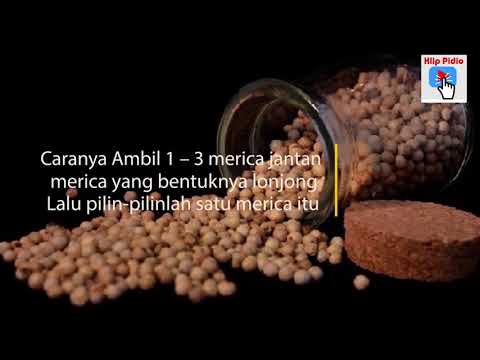 Wanita patogen Ali Bagaimana meningkatkan potensi seksual laki-laki