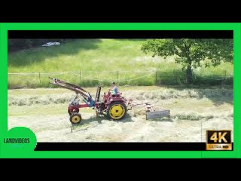 Heu Schwaden mit einem Oldtimer - GT124/RS 09 und Schwader