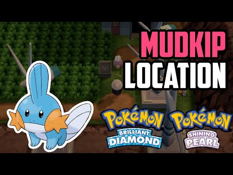 How to Catch Mudkip - Pokémon Brilliant Diamond & Shining Pearl