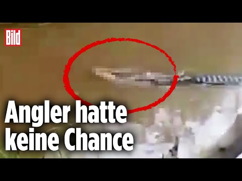 Krokodil schwimmt mit Leiche davon | Indonesien