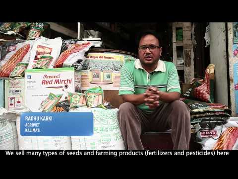 Hybrid seed production in Nepal: USAID video…