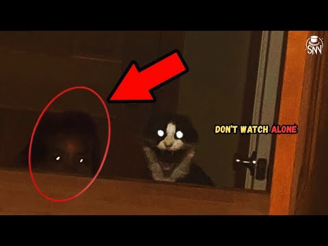 20 Scariest Ghost Videos That Will TRAUMATIZE You!