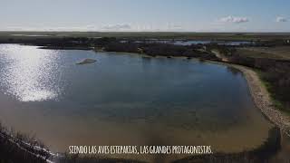 IV Encuentro natureWatch - Villafáfila 2021