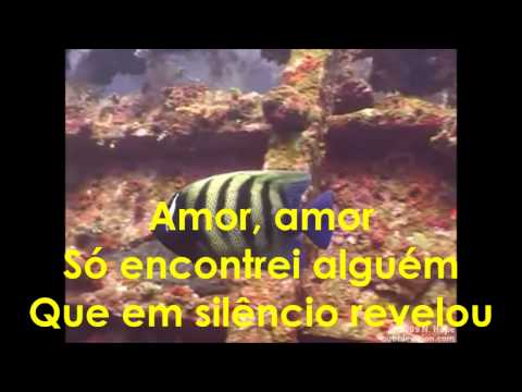 Palavras E Canções video