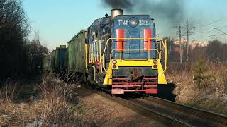Тепловоз ТГМ4Б-37181 с грузовыми вагонами на подъездном пути от станции Гривно МЖД. 19/01/2025.