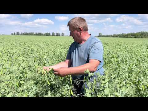 ЯМАЛЬСКИЙ 305