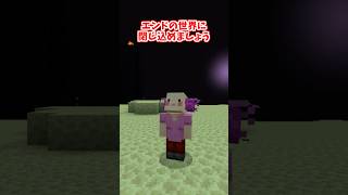 道を塞いでくる奴の末路 #minecraft