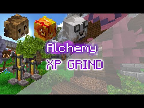 JuregaPlays - How grind Alchemy XP in Hypixel Skyblock