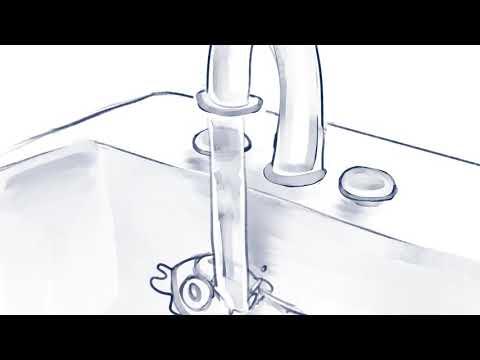 Amber drowns a rubber chicken