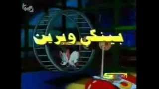 بينكي وبرين